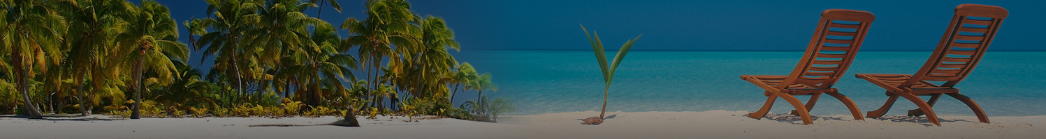 Unforgettable Holiday Adventures