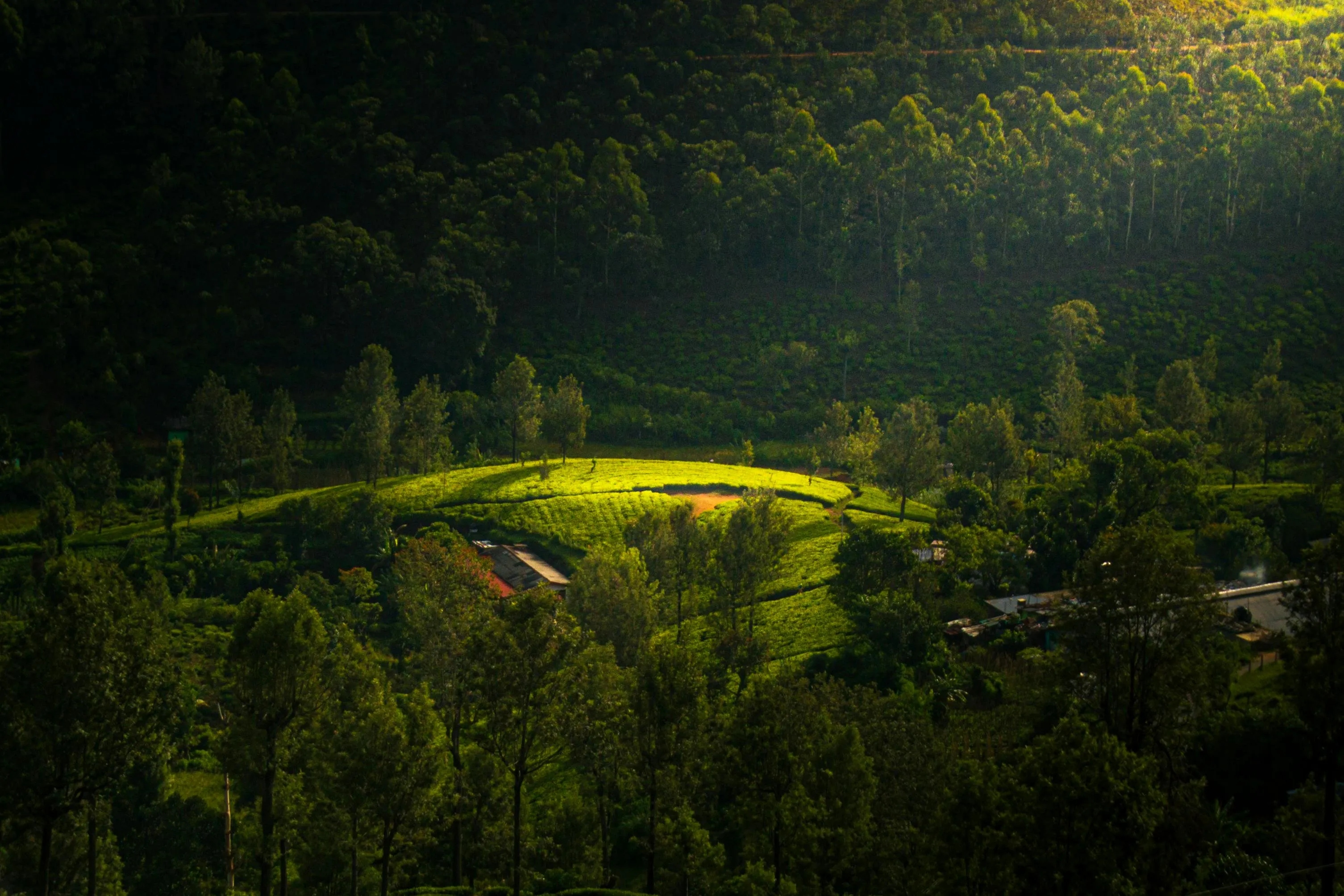 Sri Lanka Wildlife & Nature Journey