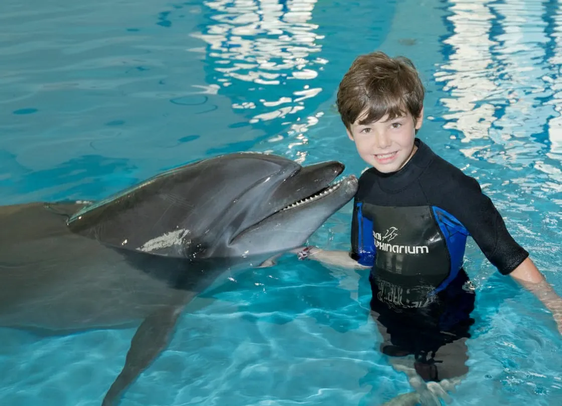 Majestic Swim with Dolphins | Dubai